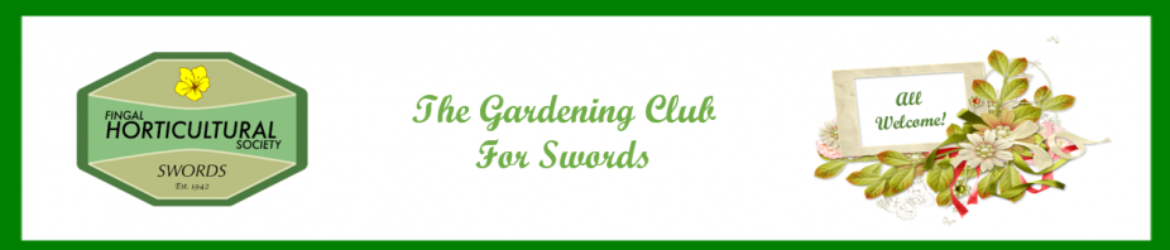 cropped-cropped-website-banner-2.png